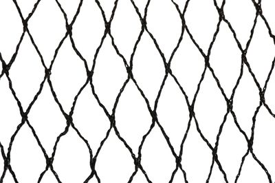 Sieť Strend Pro, 8x8 m, oko 25 mm, proti vtákom, PE