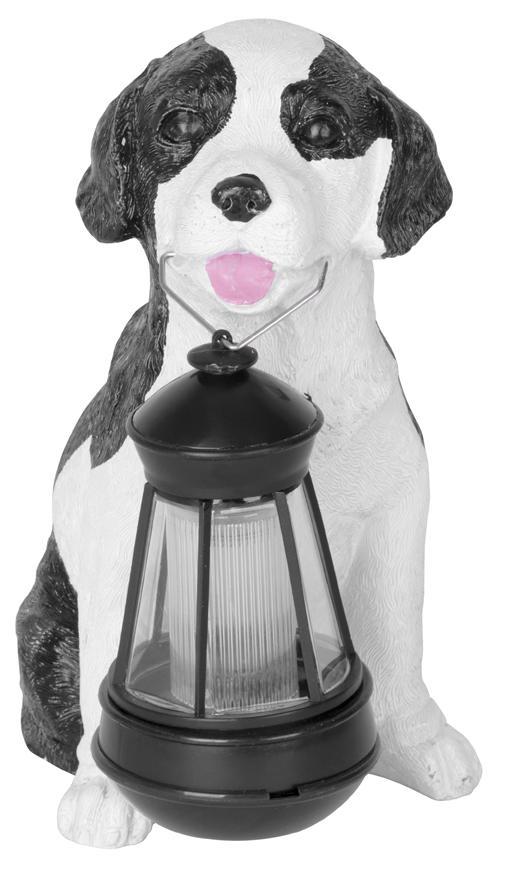 Dekorácia Strend Pro Gecco, pes, 24x14x25 cm, polyresin, solar, 1 LED, AA