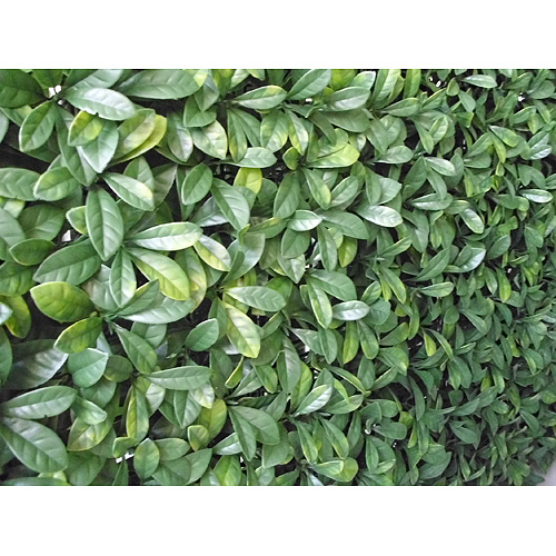 Plot Manzo 6091 PVC 0.5x0.5 m, lístie, bal. 1 ks