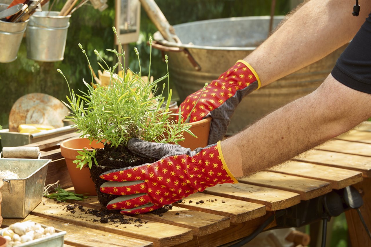 GH-M 10 RUKAVICE NA STROJE