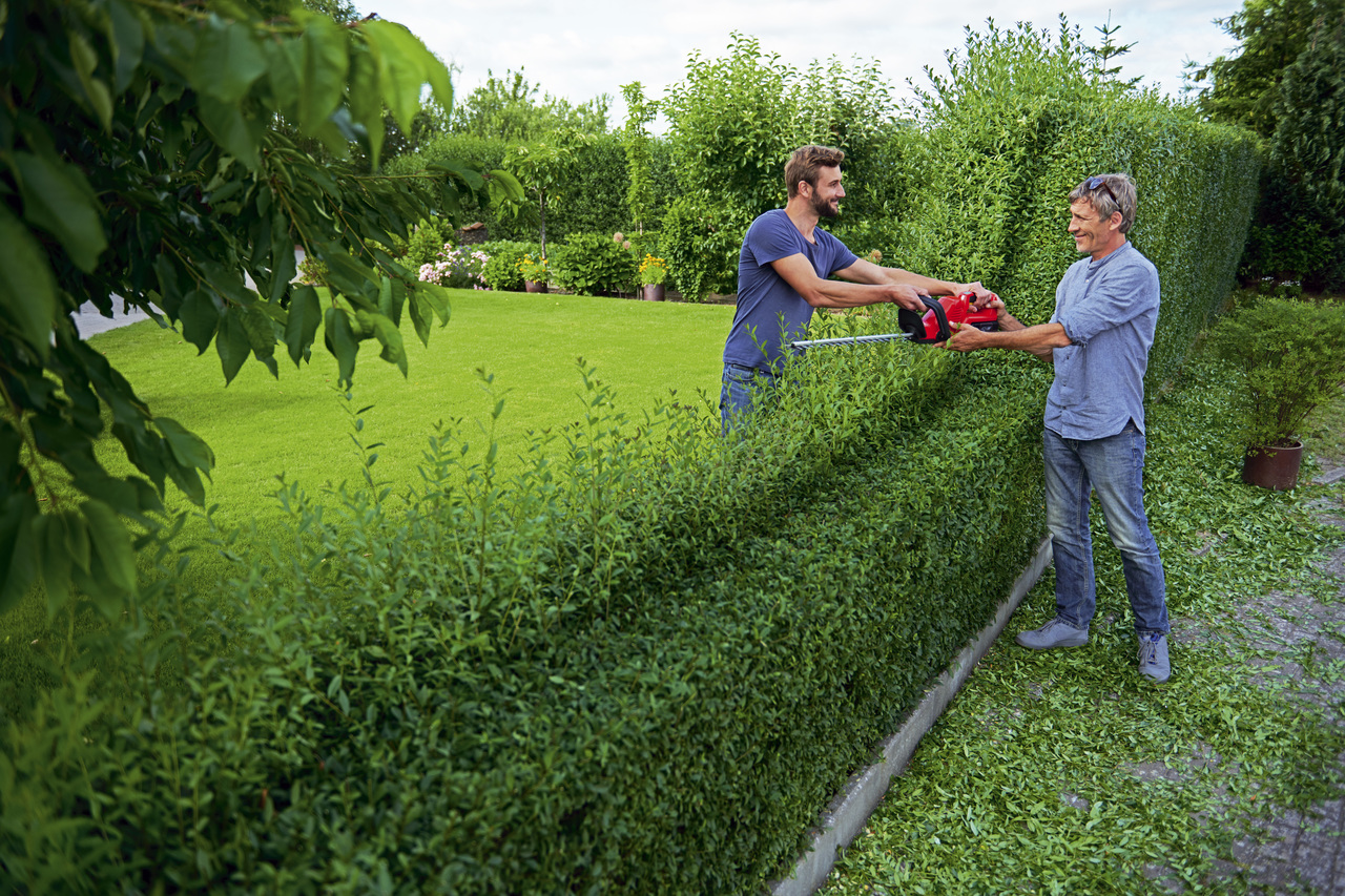 LYCOS 40/600 H #60CM