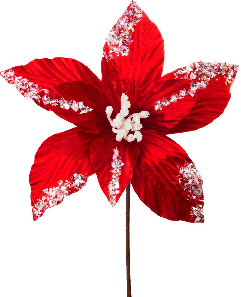 Kvet MagicHome Vianoce, poinsettia, červený, 20 cm, veľkosť kvetu: 21 cm