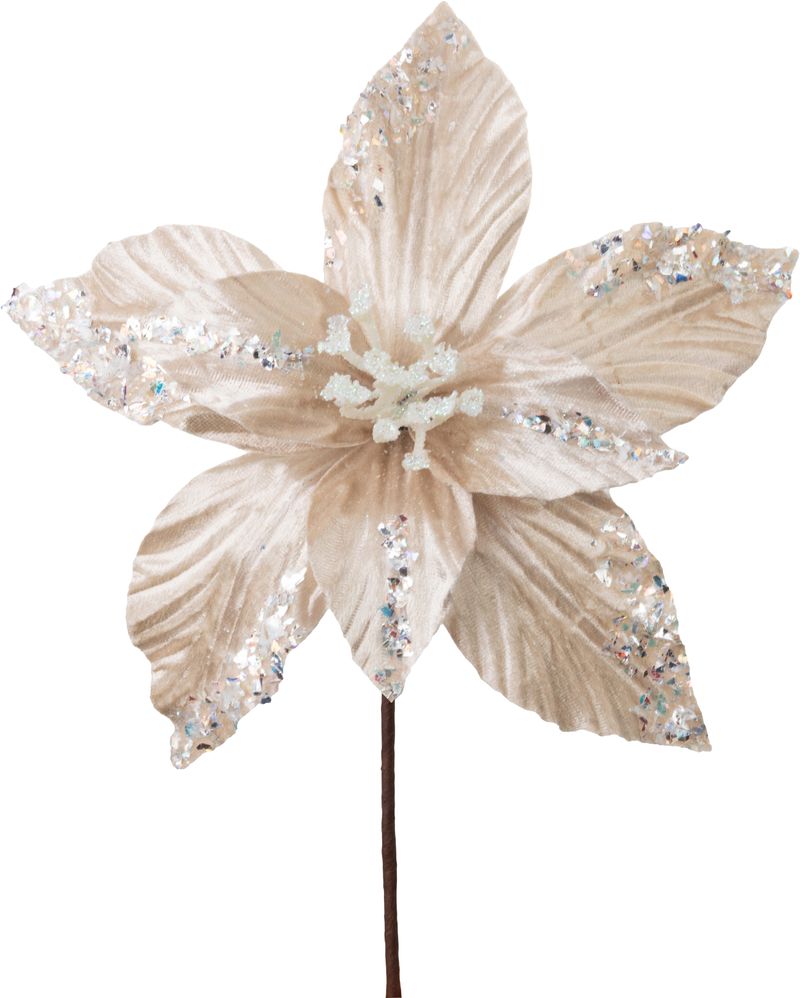 Kvet MagicHome Vianoce, poinsettia, champagne, 20 cm, veľkosť kvetu: 21 cm