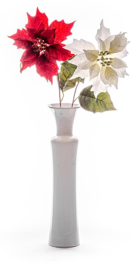 Kvet MagicHome Vianoce Poinsettia, krémová, stonka,veľkosť kvetu: 23 cm, dĺžka kvetu: 75 cm, bal. 12